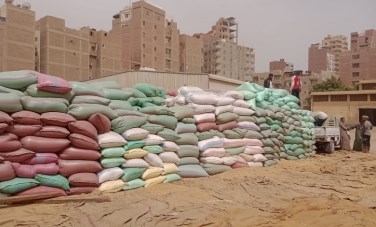 توريد القمح في أسيوط