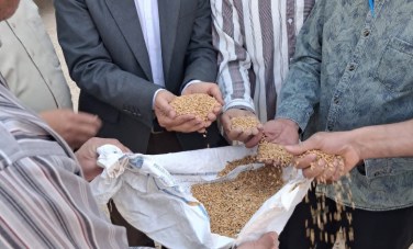 وكيل وزارة التموين بأسيوط