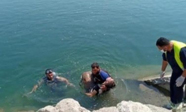 الإنقاذ النهري بأسيوط