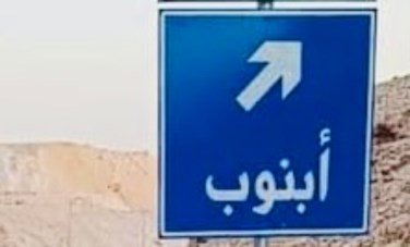 مركز ابنوب