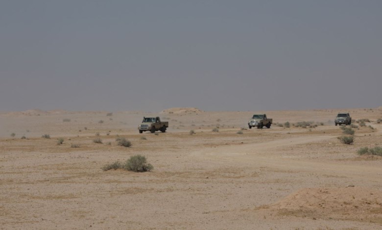 صحراء النجف
