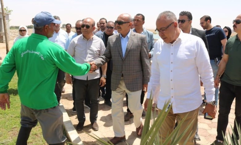 محافظ السويس 