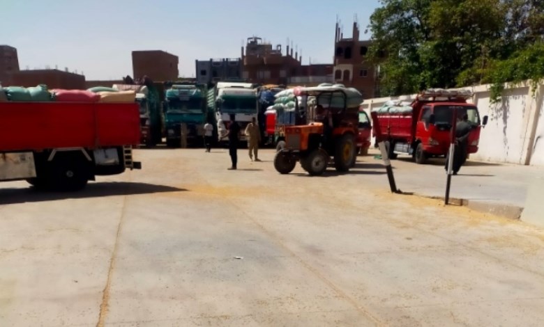استلام ما يزيد عن 116 ألف طن من الاقماح المحلية بسوهاج