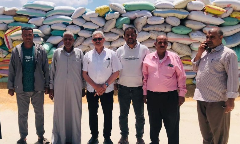صوامع الشرقية 