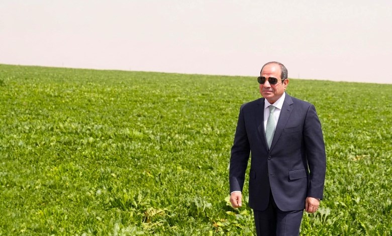 الرئيس عبد الفتاح السيسي 