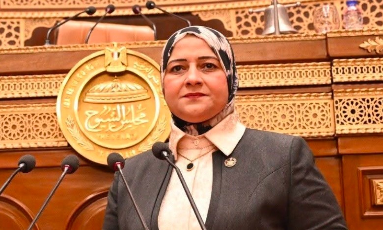 النائبة مروة قنصوه