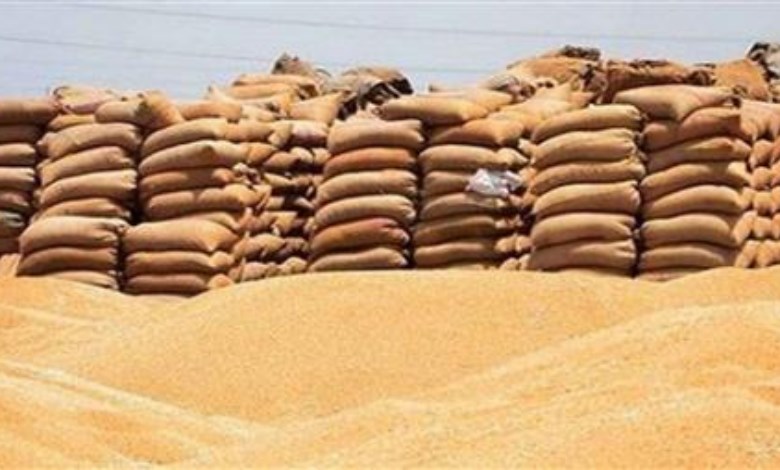 توريد القمح