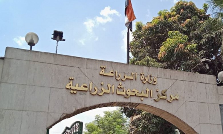مركز البحوث الزراعية