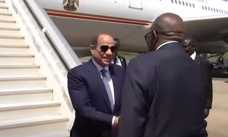 الرئيس السيسي 