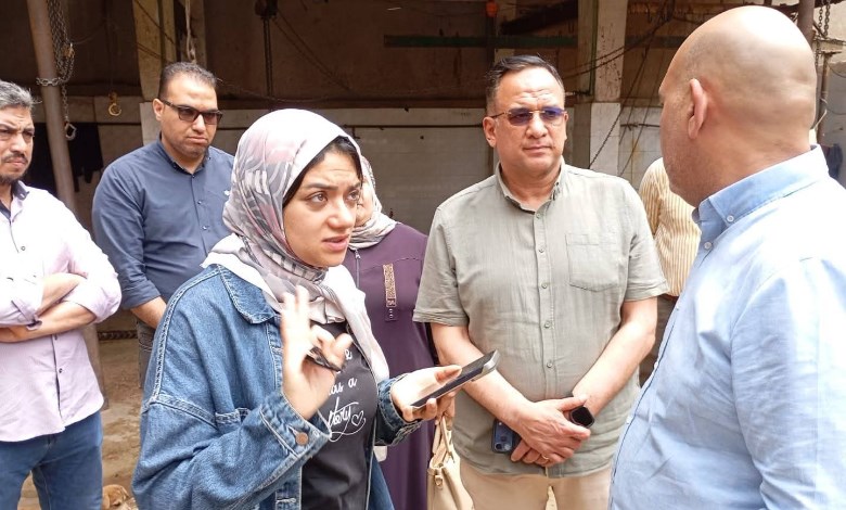 نائب محافظ القليوبية