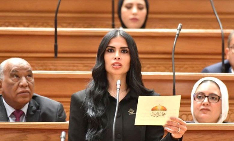 هايدي المغازي 