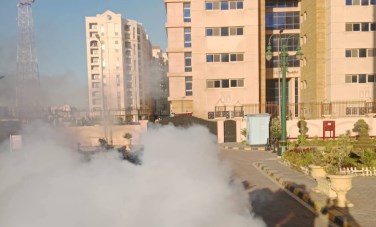 حملات شرق الإسكندرية لمكافحة البعوض