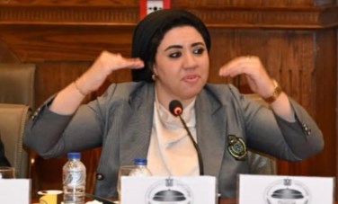 النائب أميرة صابر 