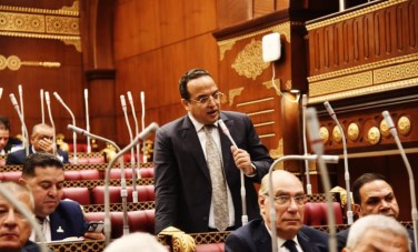 النائب أحمد الفار 