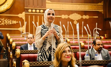 النائبة ولاء هرماس