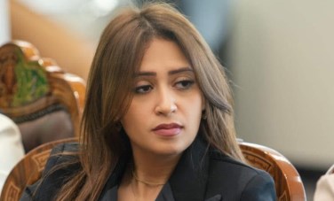فاتن الفقي 