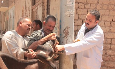 جامعة أسيوط تطلق قافلة تنموية شاملة بقرية الحواتكة.. خدمات طبية وبيطرية وتوعوية بمشاركة 14 كلية ومعهد وبالتعاون مع الجهات التنفيذية
