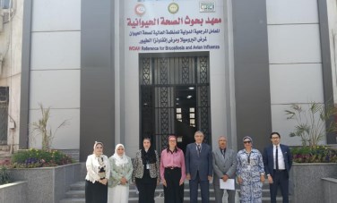 معهد بحوث الصحة الحيوانية