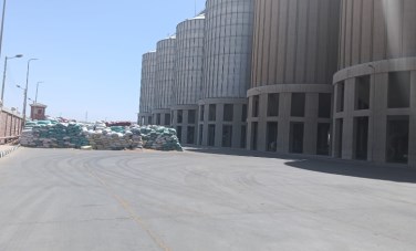 توريد الذهب الأصفر في أسيوط