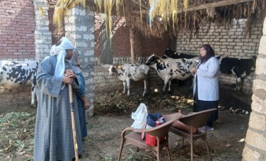 تحصين مواشي بأسيوط