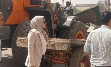 نائب محافظ القليوبية