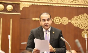 محمد المنزلاوي