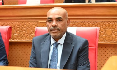 محمد أبو الخير