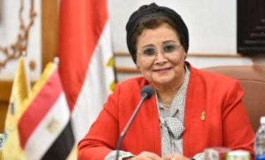الدكتورة عبلة الألفي - نائب وزير الصحة والسكان