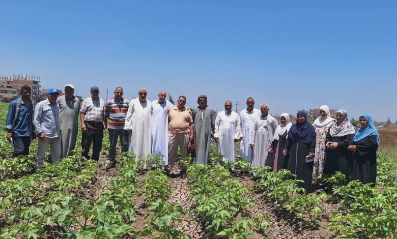 مديرية الزراعة بمحافظة الشرقية