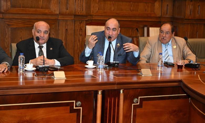 النائب عمرو رشاد 