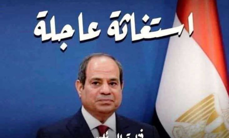 صرخة 3700 موظف بوزارة الزراعة تهز الشارع المصري: 3 سنوات عمل دون راتب.. فمن ينصف أصحاب الأحكام القضائية؟