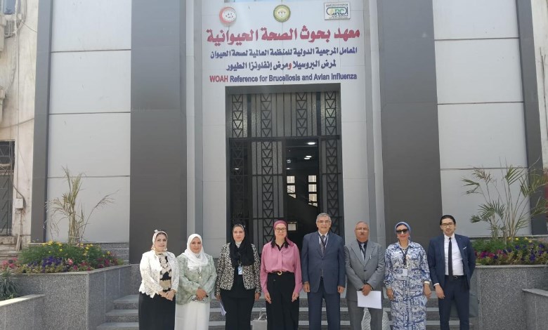 معهد بحوث الصحة الحيوانية