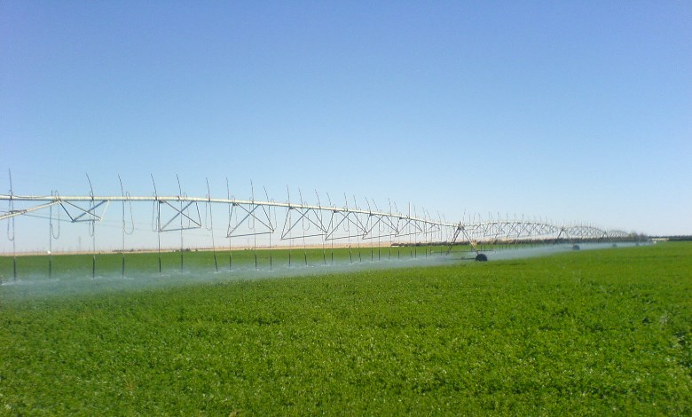 روابط مستخدمي المياه.. شراكة جديدة لإدارة المورد الأكثر حيوية