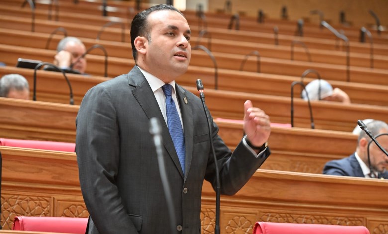 عمرو فهمي 