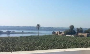 فاجعة في أسيوط.. غرق الطفلين محمود (10 سنوات) وأحمد (6 سنوات) بنهر النيل بجزيرة بهيج