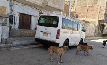 مديرية طب بيطري قنا