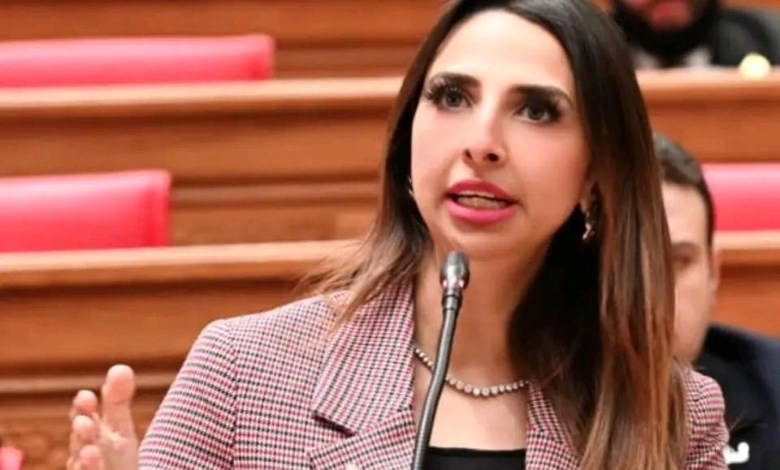 النائبة نشوى الشريف