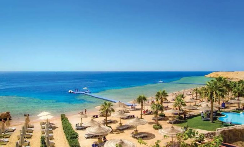 "الري" تدرس تطبيق تكنولوجيا جديدة لأول مرة لحماية الشواطئ المصرية