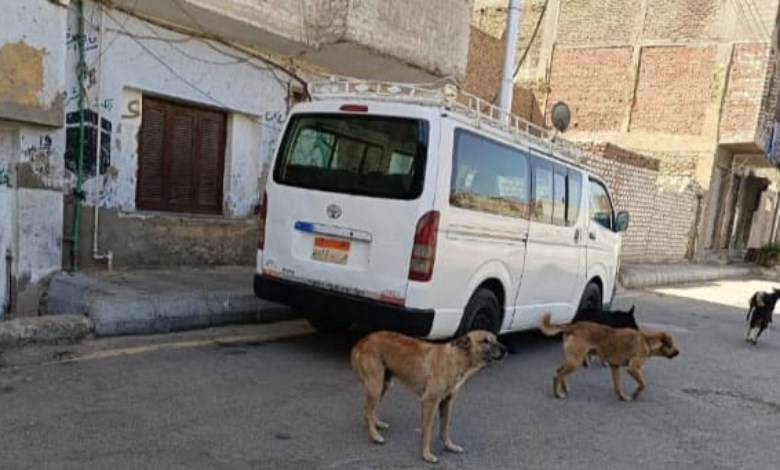 مديرية طب بيطري قنا